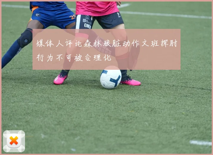 媒体人评论森林狼脏动作文班挥肘行为不可被合理化